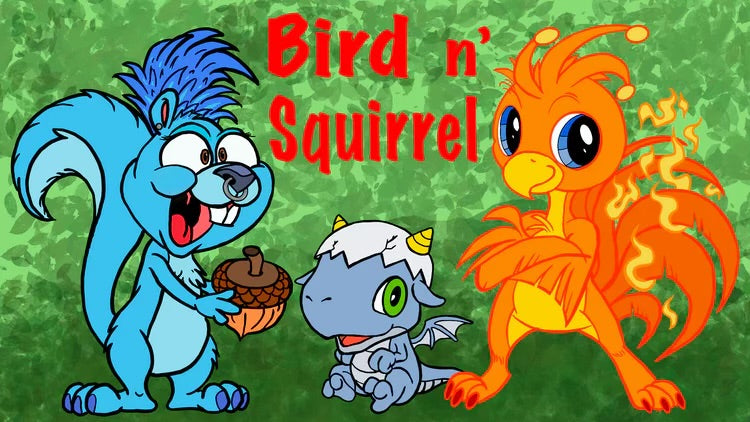 www.birdnsquirrel.com