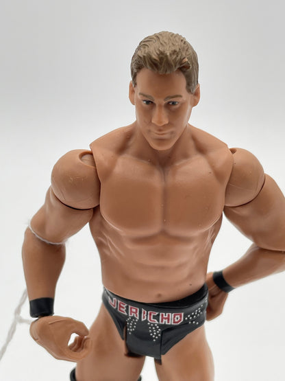 WWE - Chris Jericho 2012 #103948