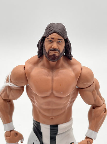 WWE - Randy Macho Man Savage 2011 #103967