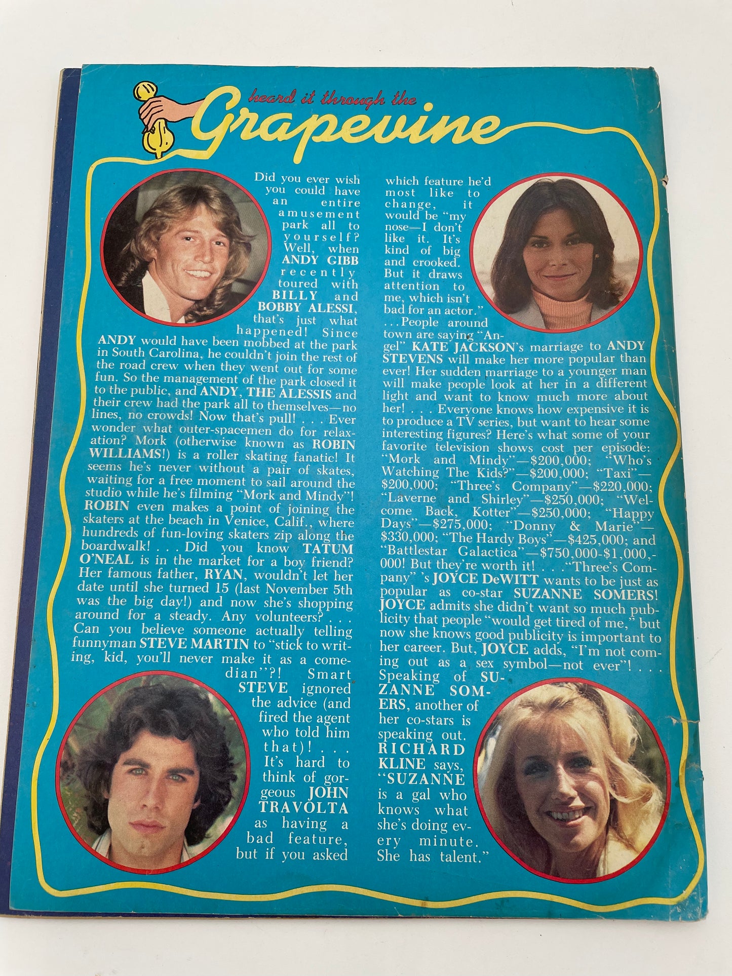 Tiger Beat Stars Magazine - January 1979 #102071